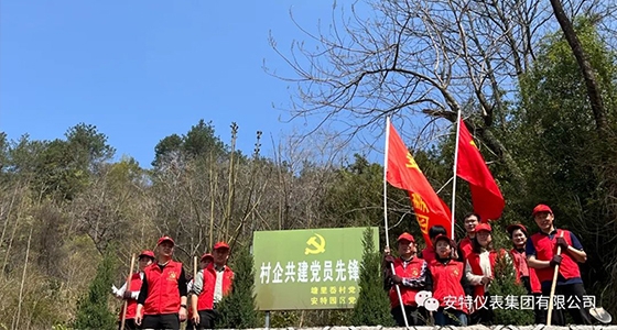 党建强引领，共植先锋林